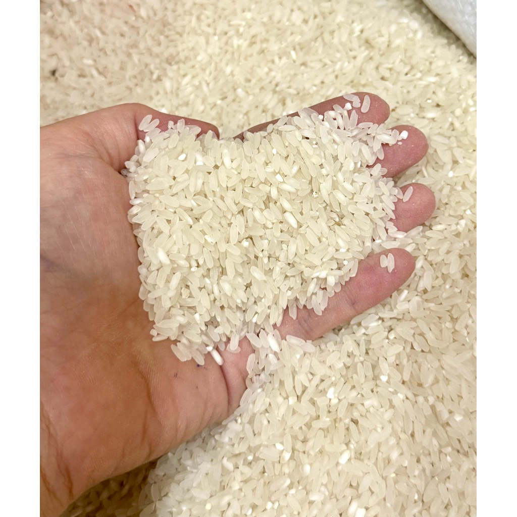 

Beras Mercy Ngembang Cocok Nasi Goreng 1kg