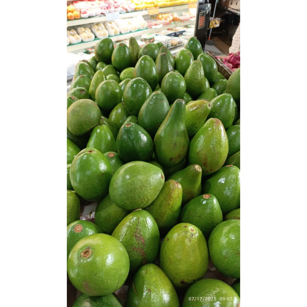 

alpukat mentega Sulawesi/kg