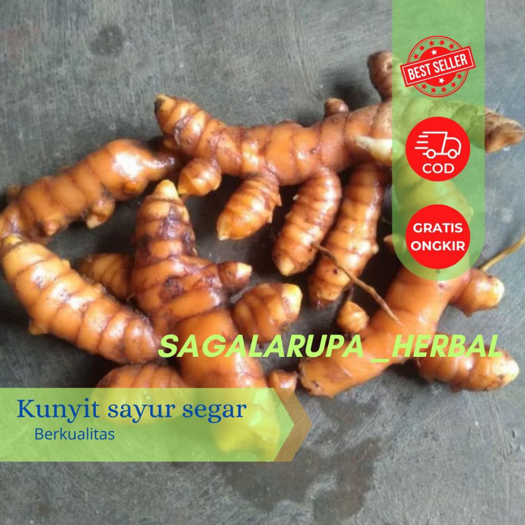 

KUNYIT SAYUR 250 GRAM SEGAR