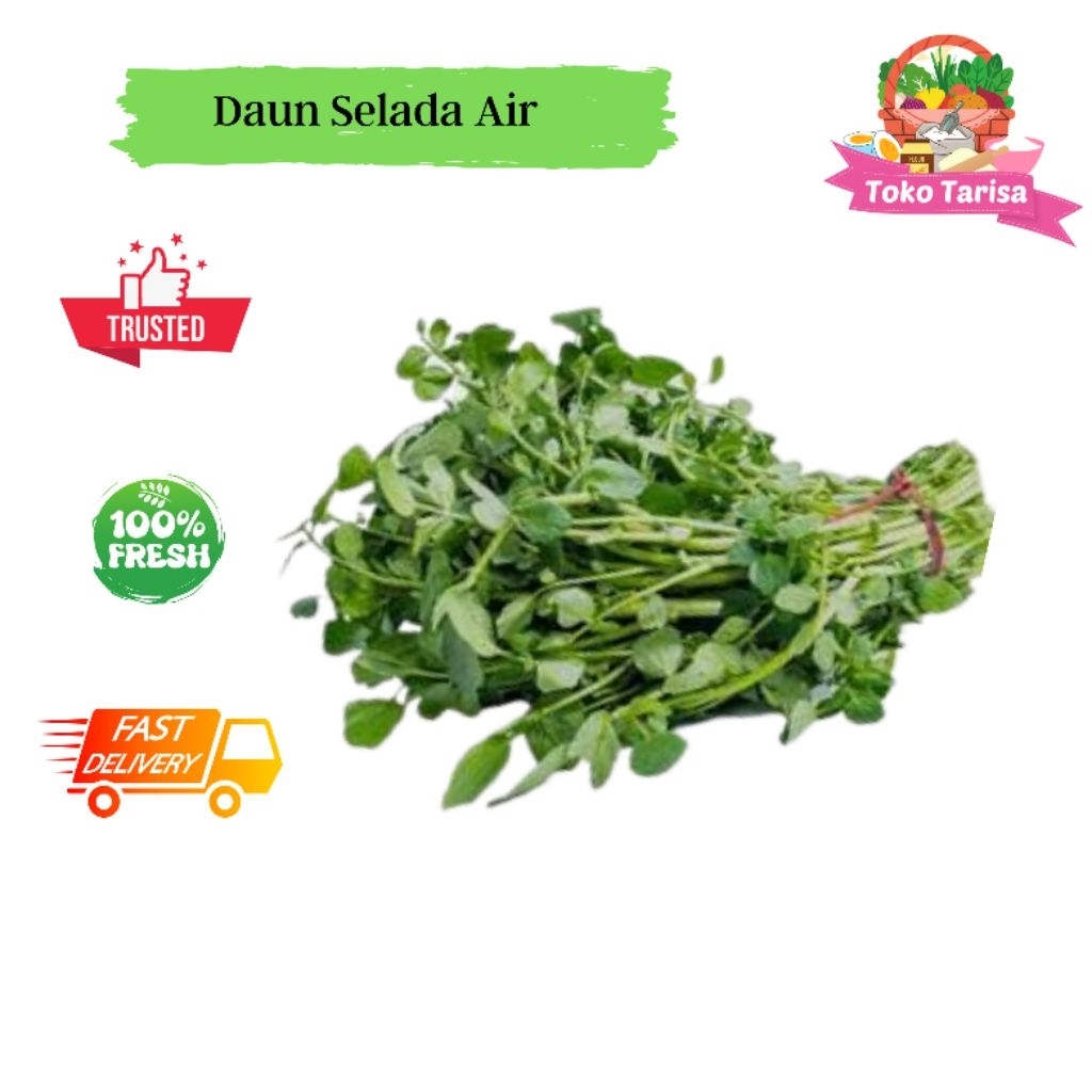 

Daun Selada Air 1 Ikat