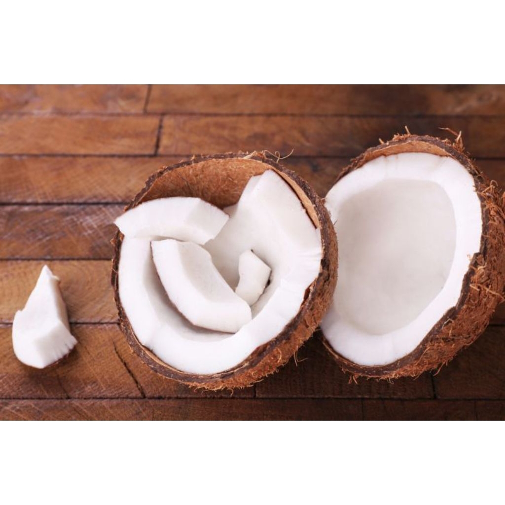 

1 Butir Kelapa Tua Bahan santai/Parudan