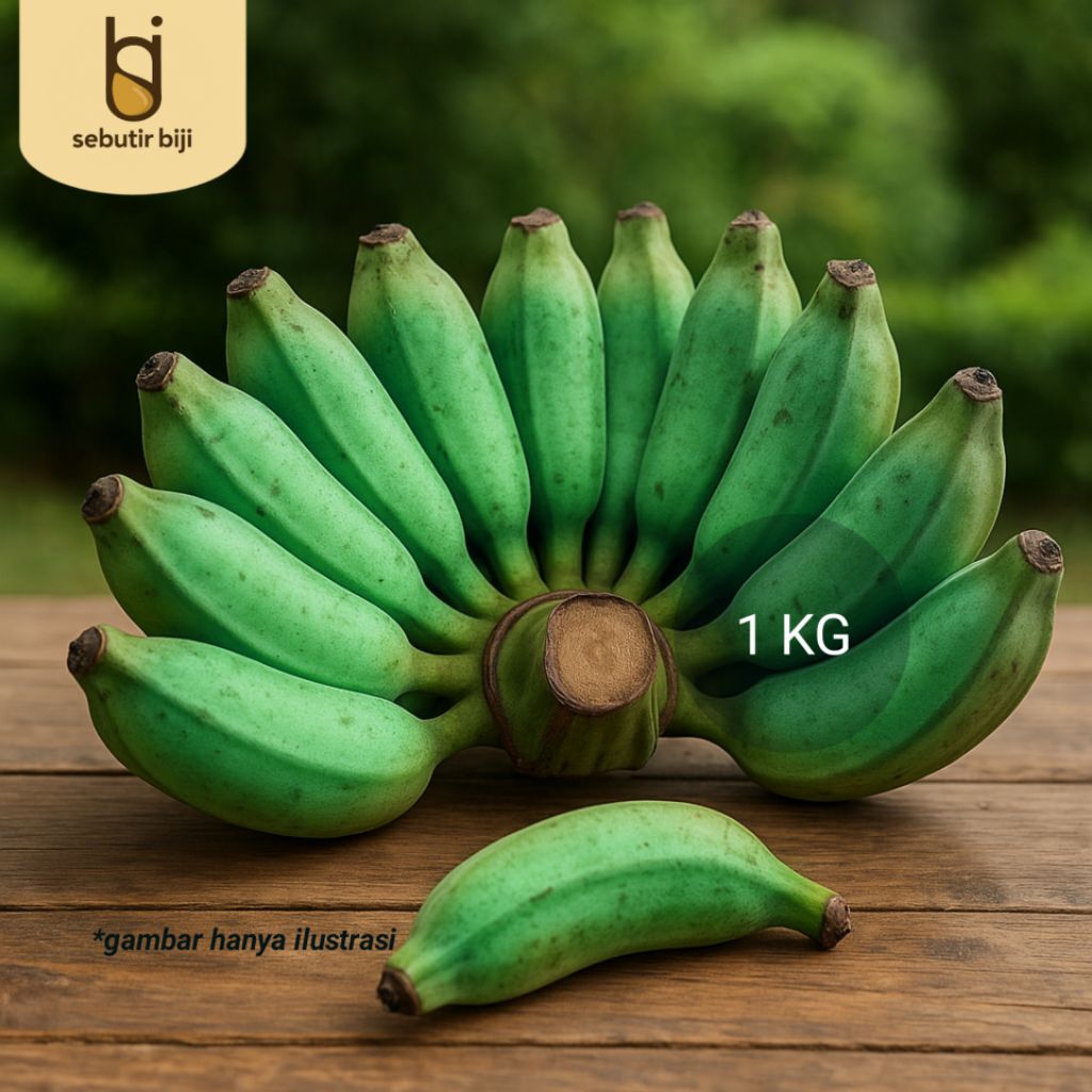 

Pisang Kepok Mentah Tua 1 kg | Bahan Keripik atau Ditunggu Matang Alami