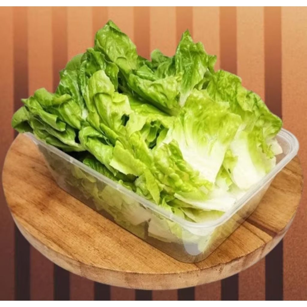 

Sayur selada romaine potong..