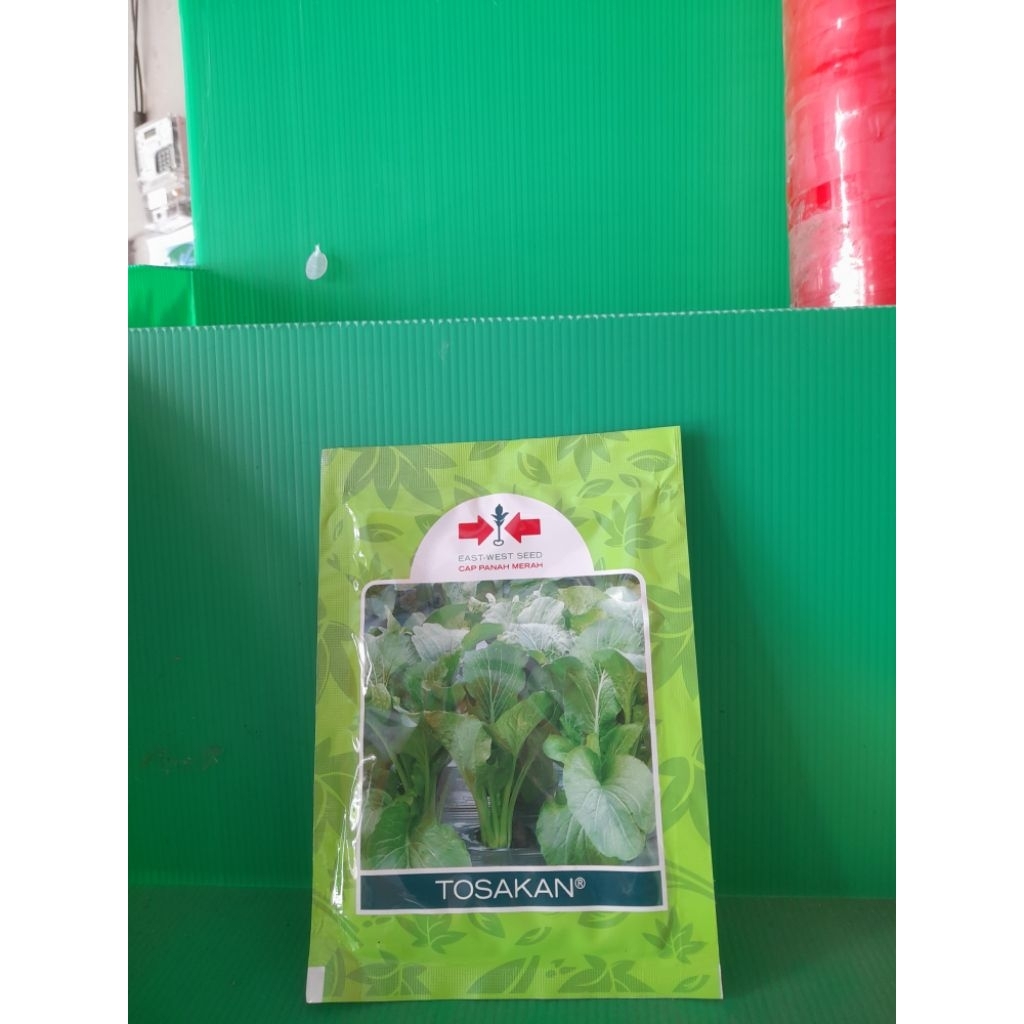 benih sawi TOSAKAN