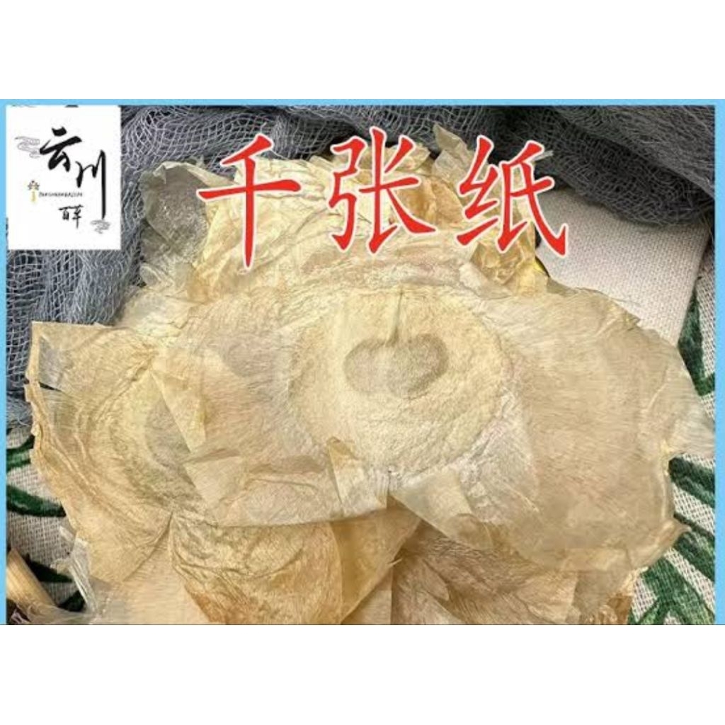 

100gr Qian Zhang Zhi / Mu Hu Die / Indian Trumetflower Seed Bungli / Seed Of Indian Trumetflower