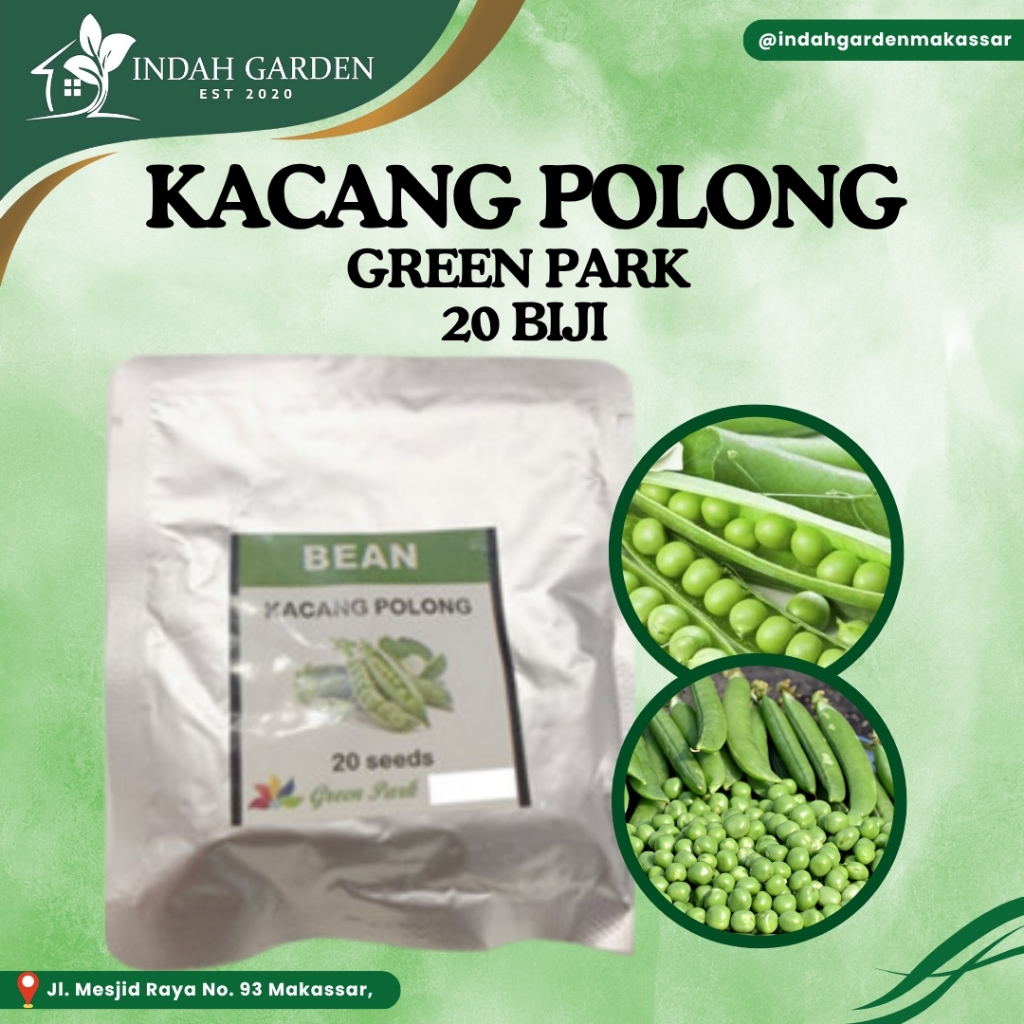 Benih kacang polong / kapri pack - GP