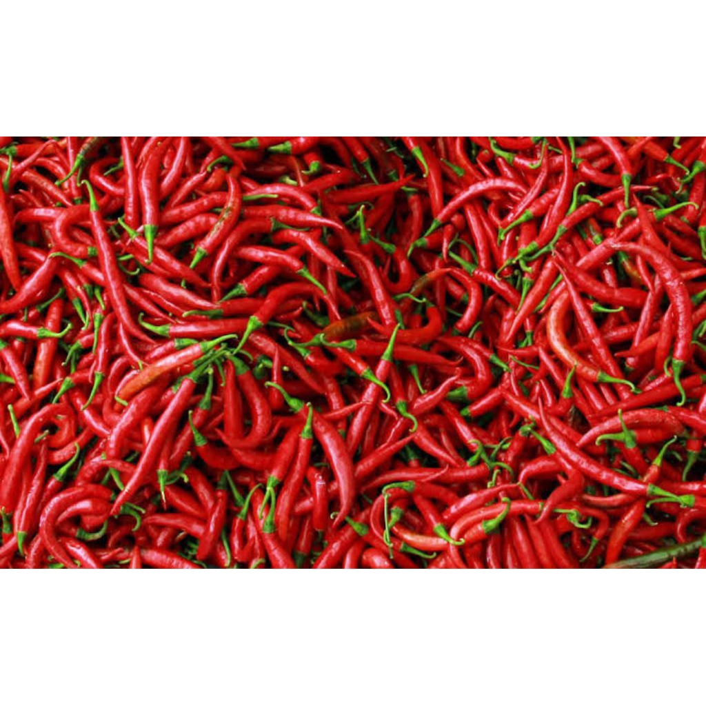 

setengah kilo cabe merah