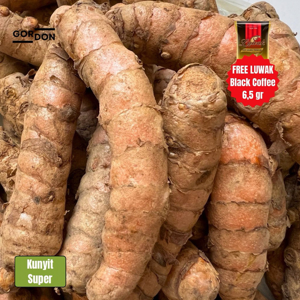 

Kunyit Segar Asli Petani Lokal - Kunyit Segar 1kg