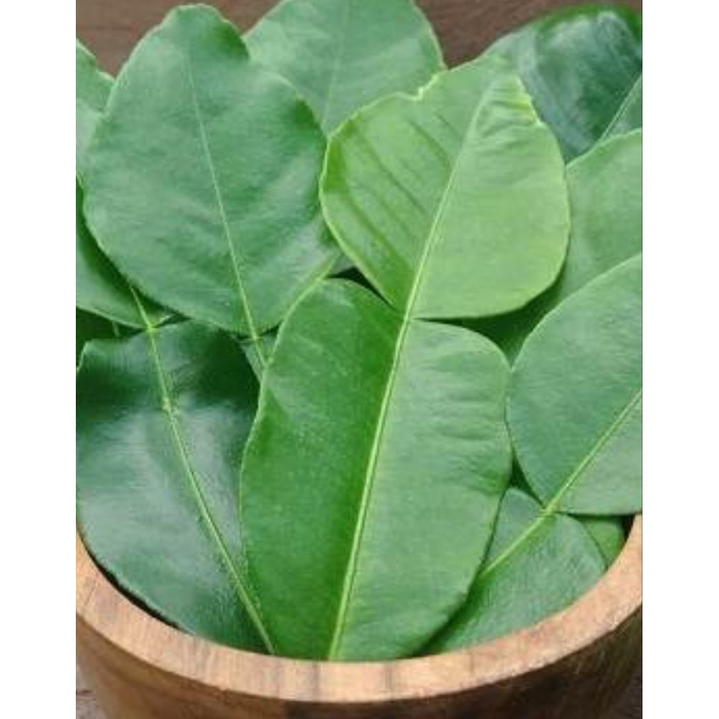 

Daun jeruk purut organik fresh 35 gr