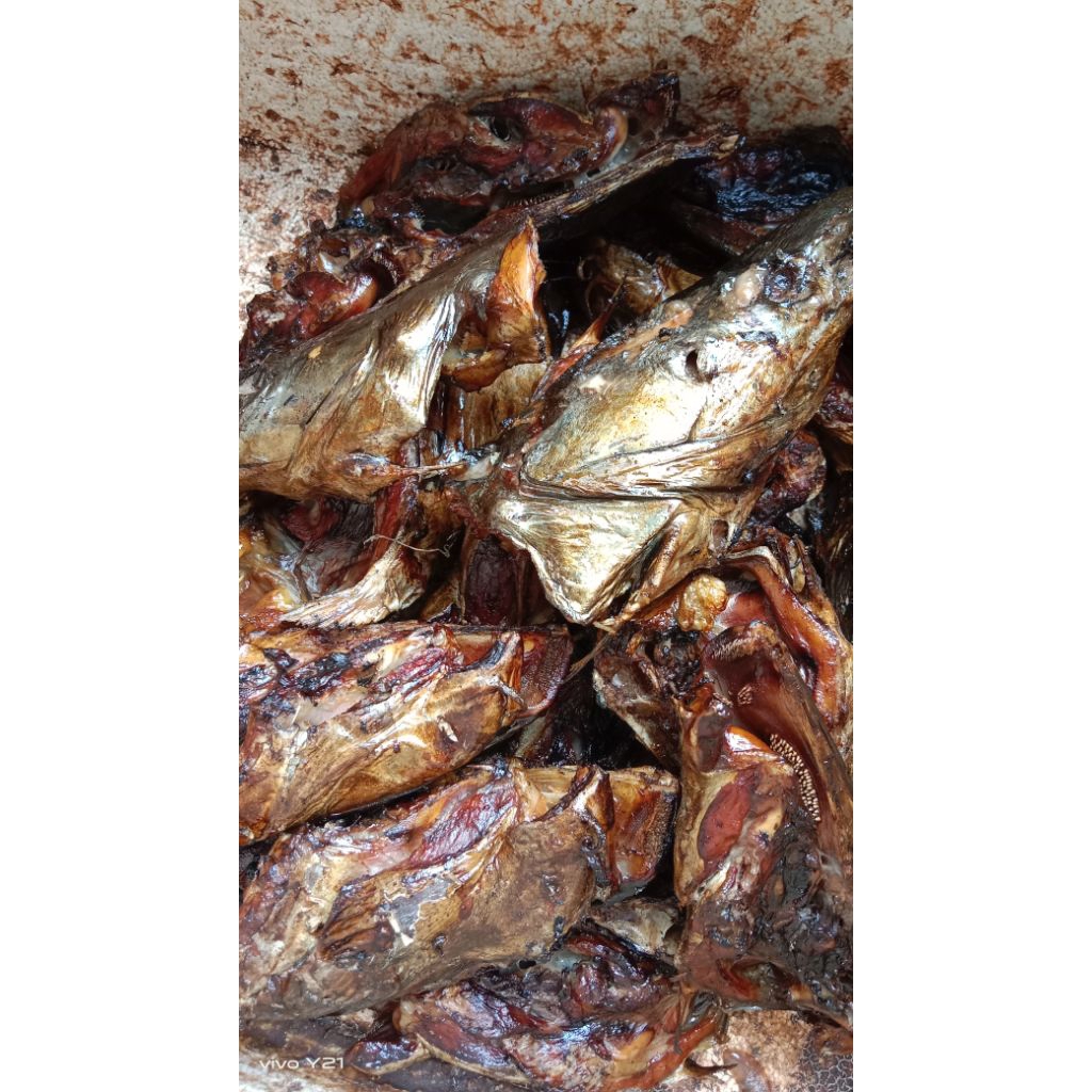 

kepala ikan manyung asap#kepala ikan manyung asap atau panggang 500gram isi 4-5 biji# kepala ikan manyung asap atau panggang khas pasuruan pesisir