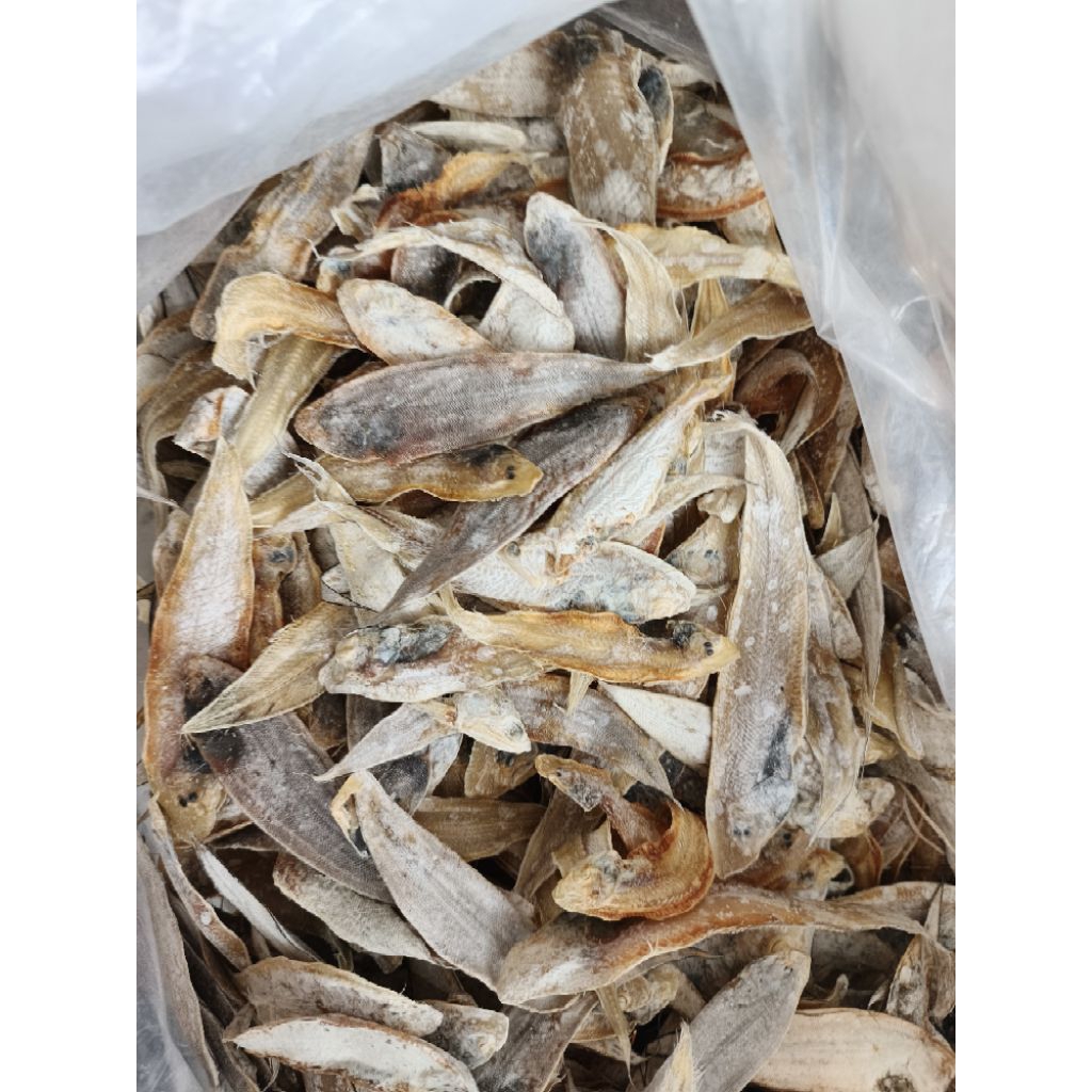 

ikan asin mata sebelah