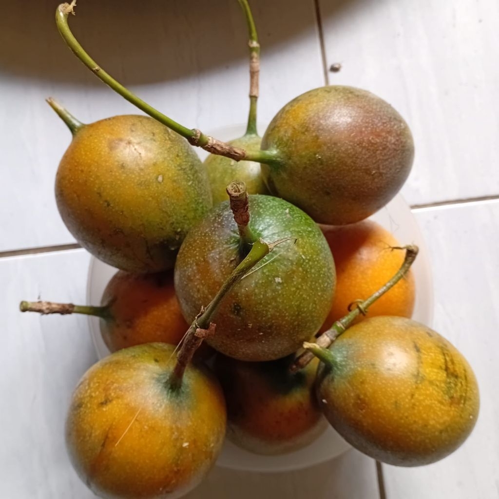 

jual 1 kg buah markisa madu /konyal madu super manis dan segar marasi