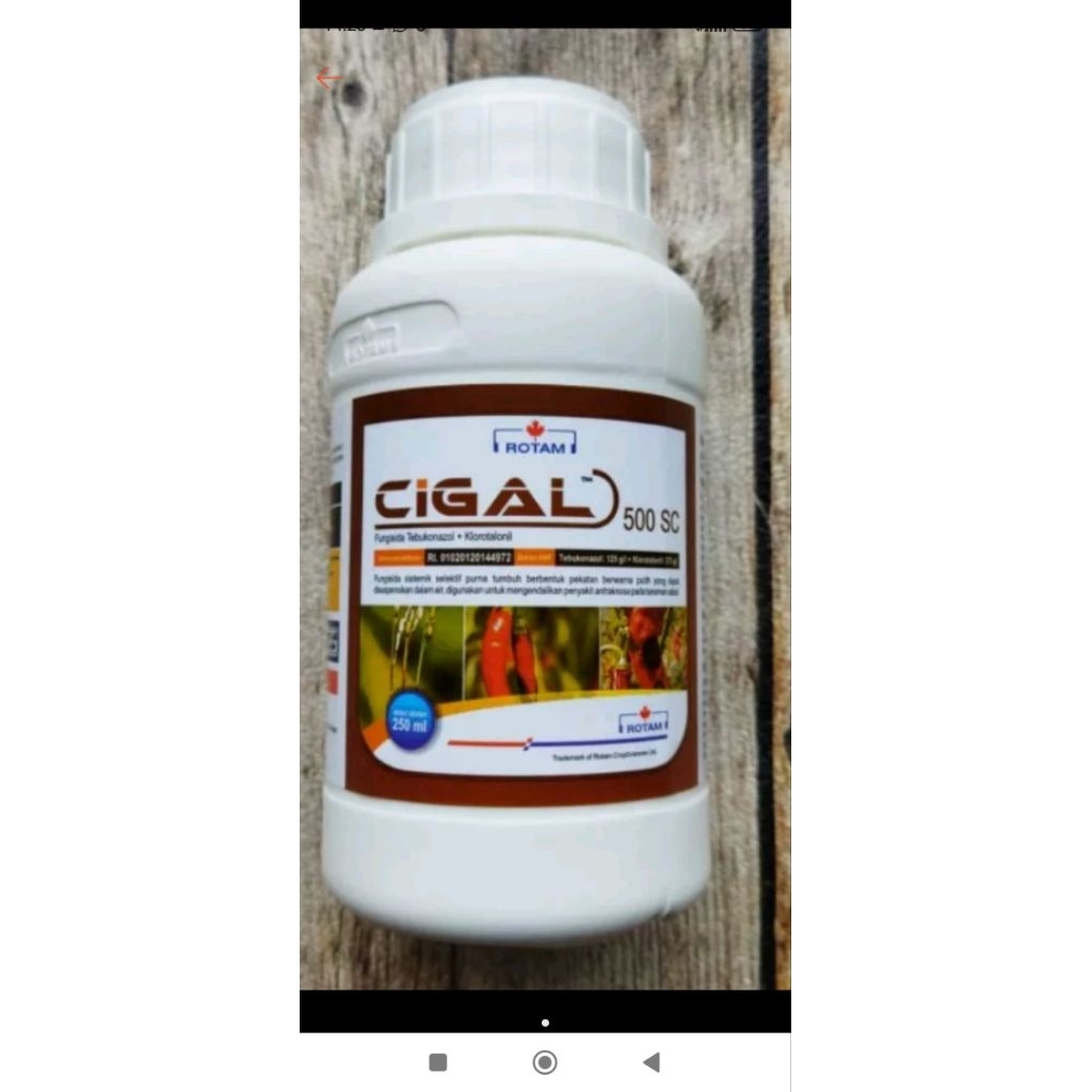Cigal 500SC 500ml Fungisida kontak & sistemik