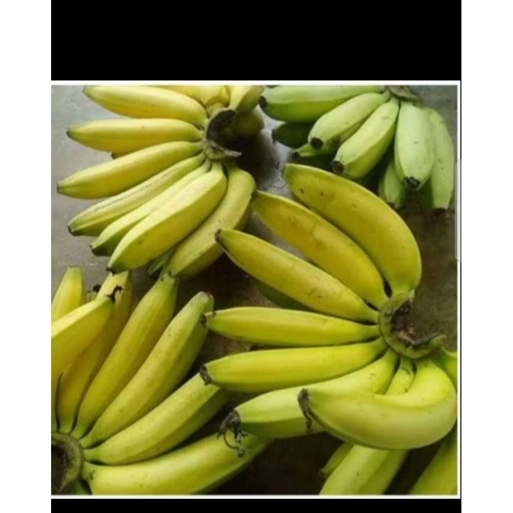 

BUAH PISANG AMBON SUPER 1000 gram