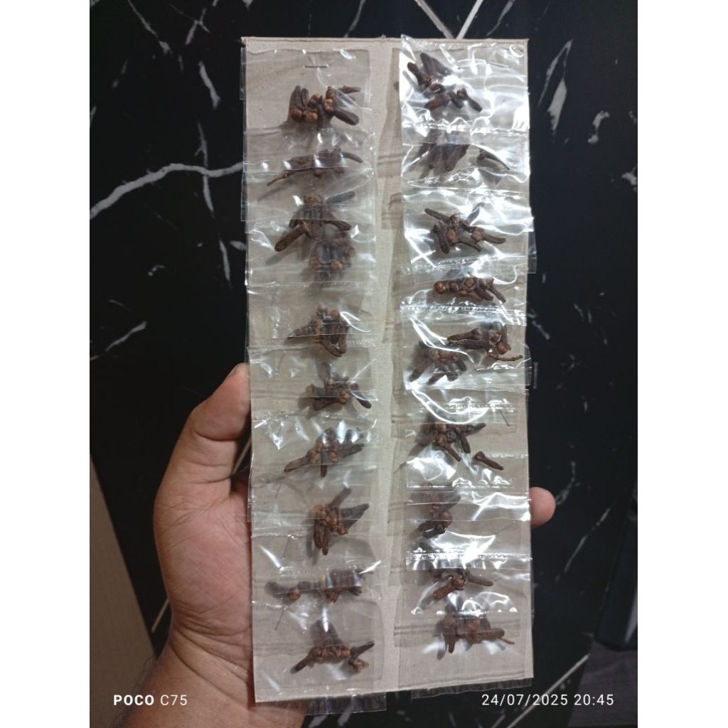 

Bumbu rempah/Bumbu dapur (cengkeh)