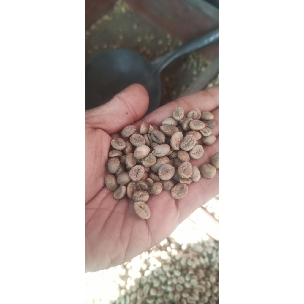 Kopi Robusta java