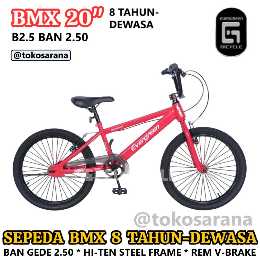 Sepeda BMX Evergreen B2.0 B2.5 8 Tahun-Remaja-Dewasa 20 Inci Ban Gede 2.50 Steel Frame Rem V-Brake