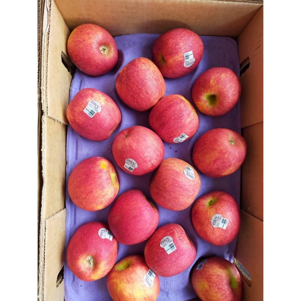 

APEL ENVY / APEL ENVY NZ / APEL ENVY MANIS GARING