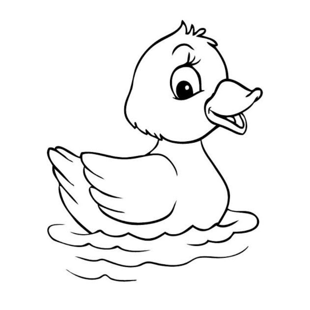 

Gambar Mewarnai Tema Hewan 20 Lembar Ukuran A4