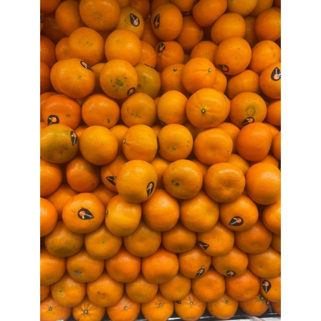 

Jeruk Clemen Gold Afrika Segar 1 Kg