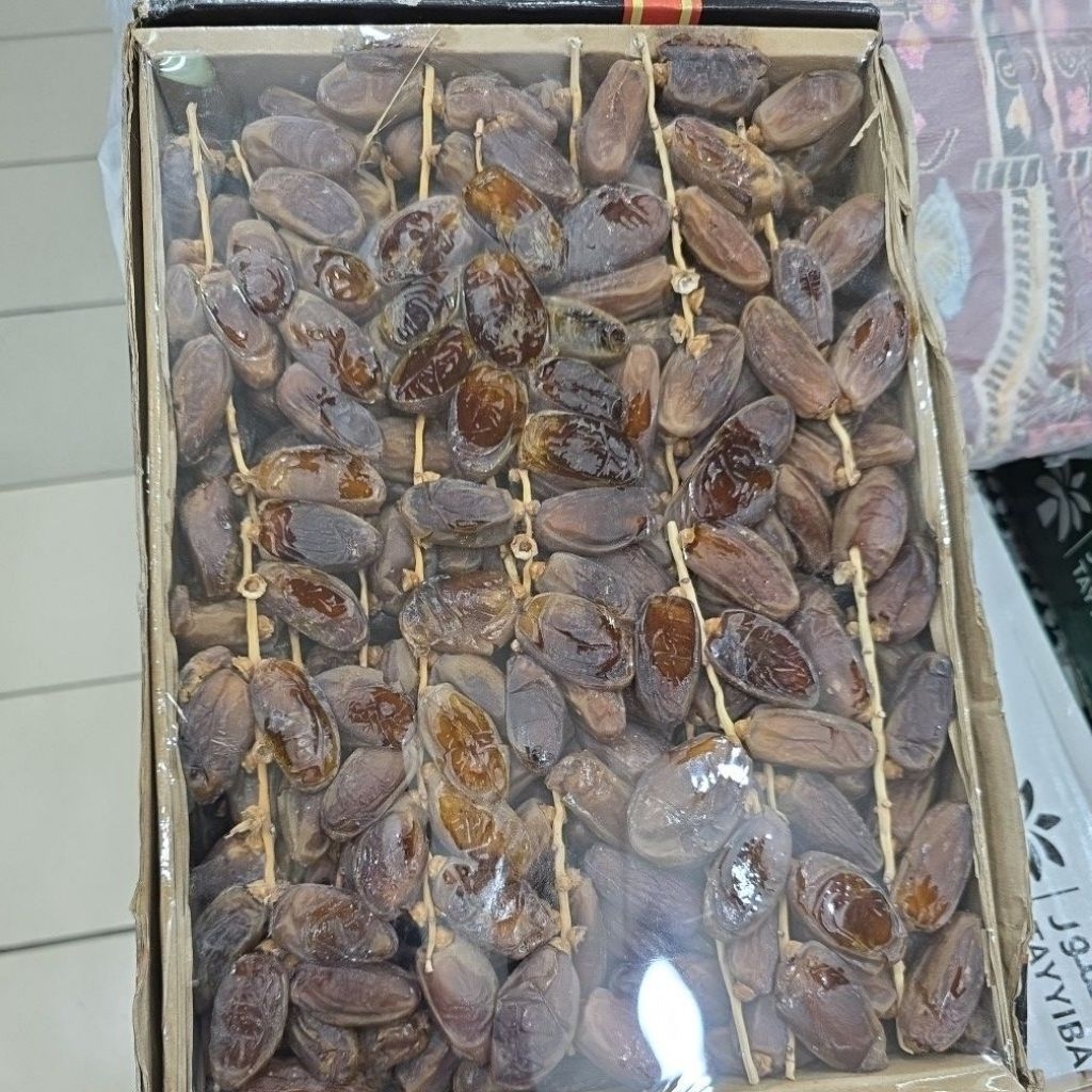 

kurma tunisia tangkai