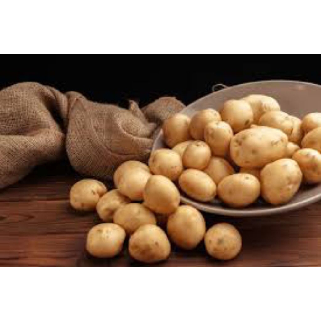 

Beby Kentang Sayur dari Bromo