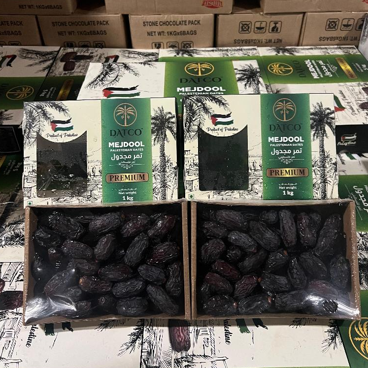 

Kurma Medjol super premium palestine kemasan 1kg