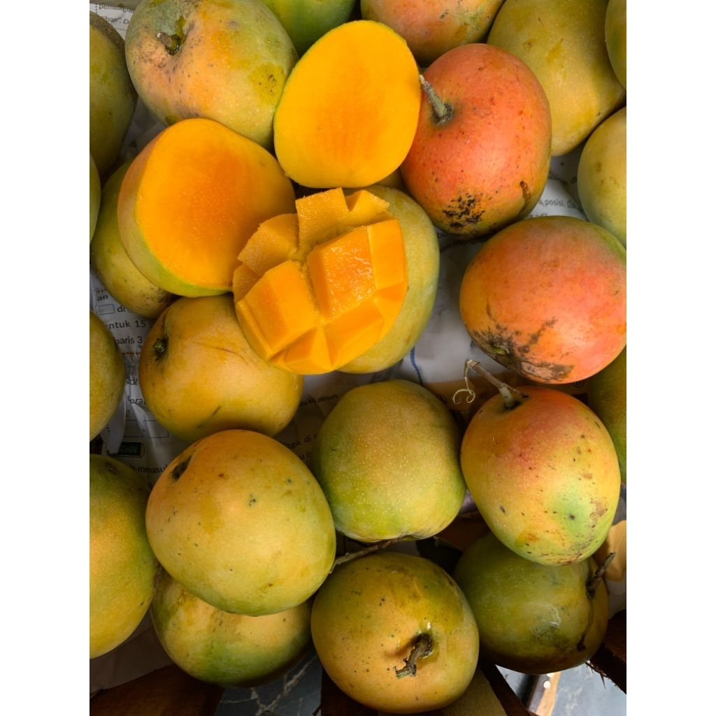 

Mangga Gedong Gincu 1Kg