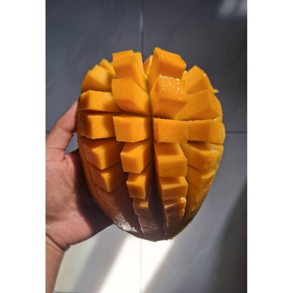 

MANGGA