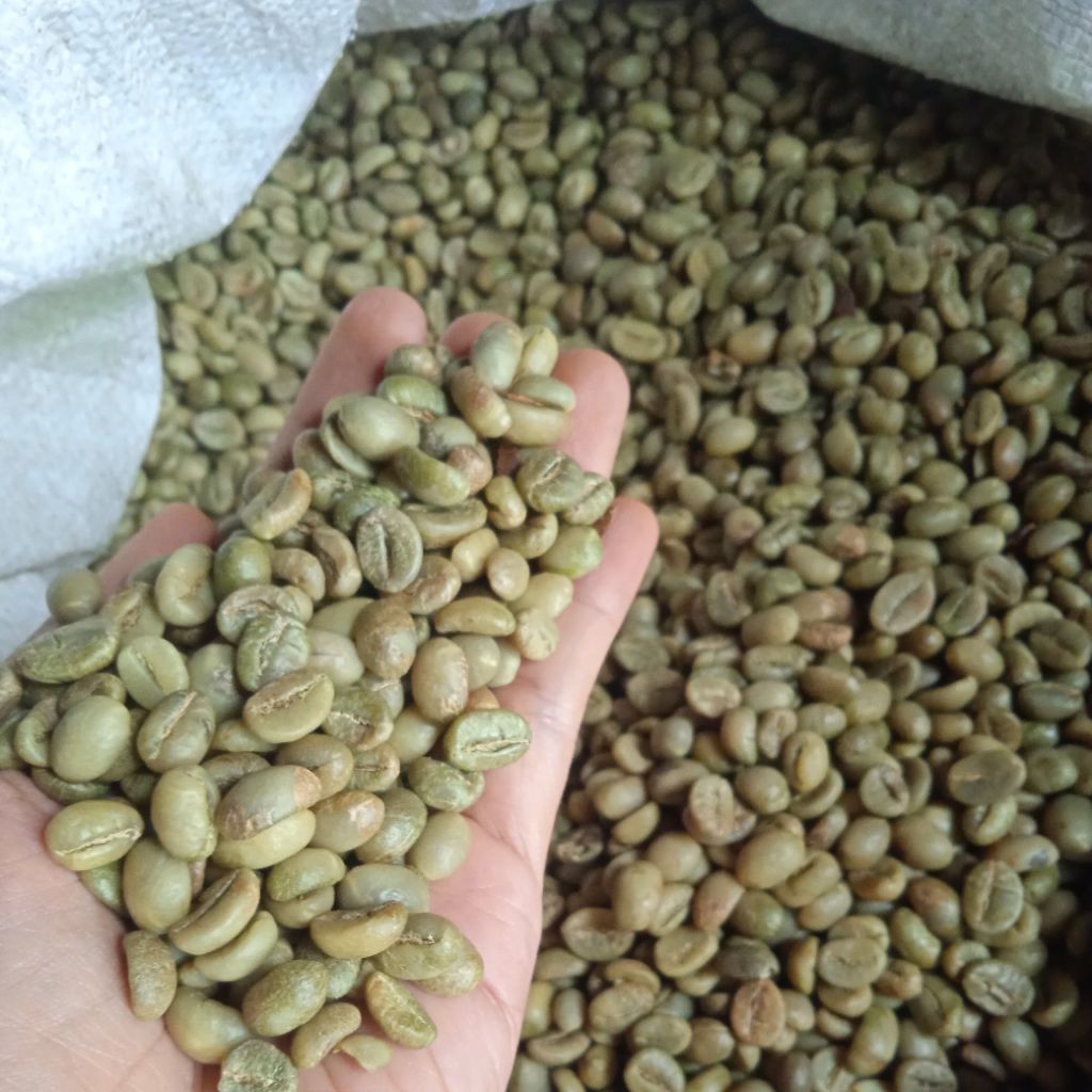 

biji kopi Robusta