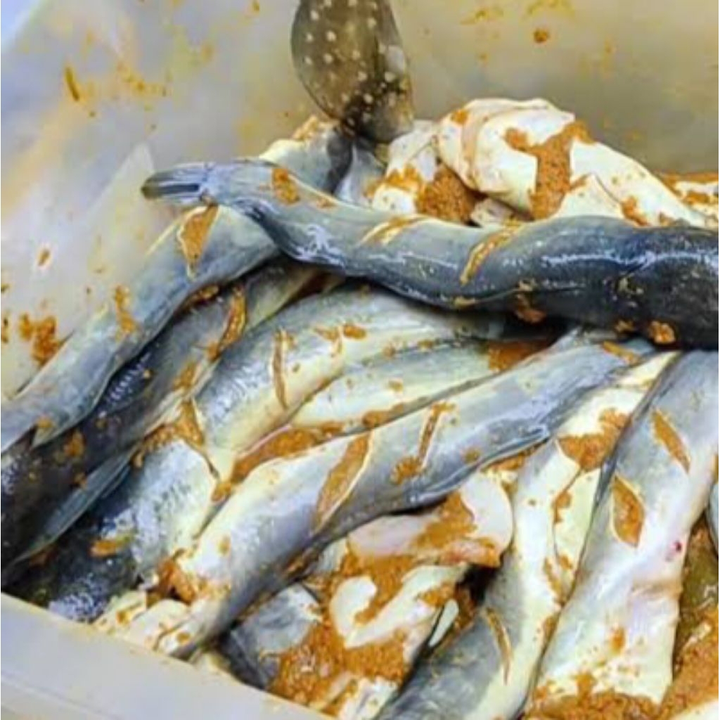 

Lele marinasi bumbu kuning