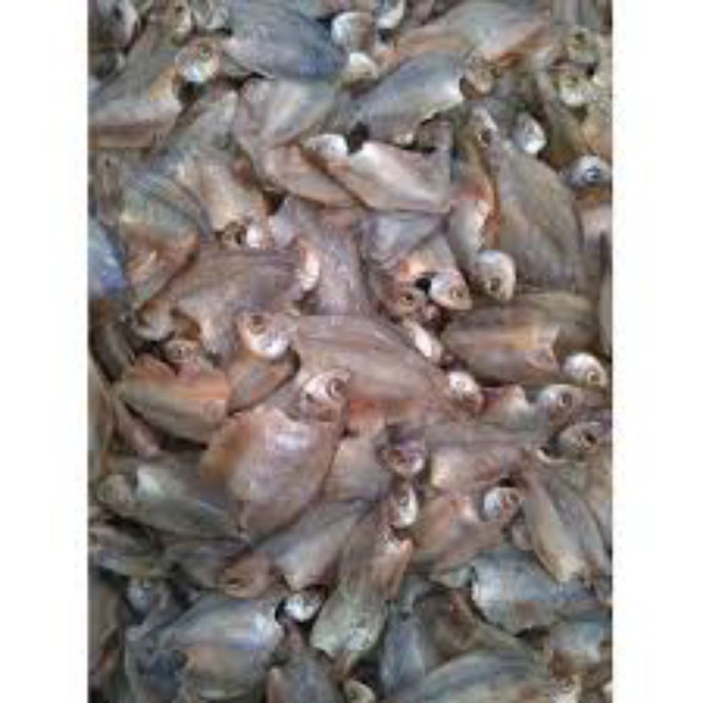 

ikan asin sepat kalimantan