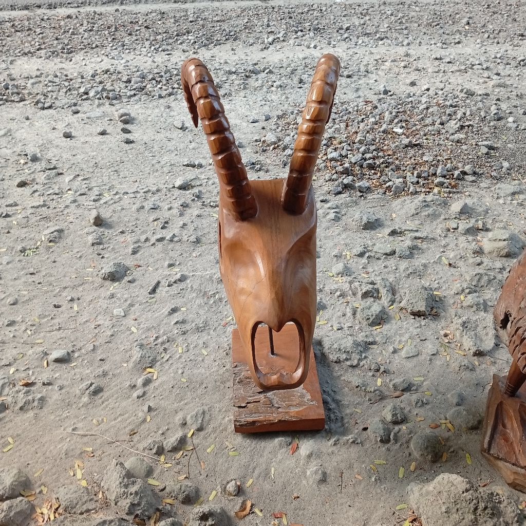 STAND TENGKORAK KAMBING KAYU JATI ASLI