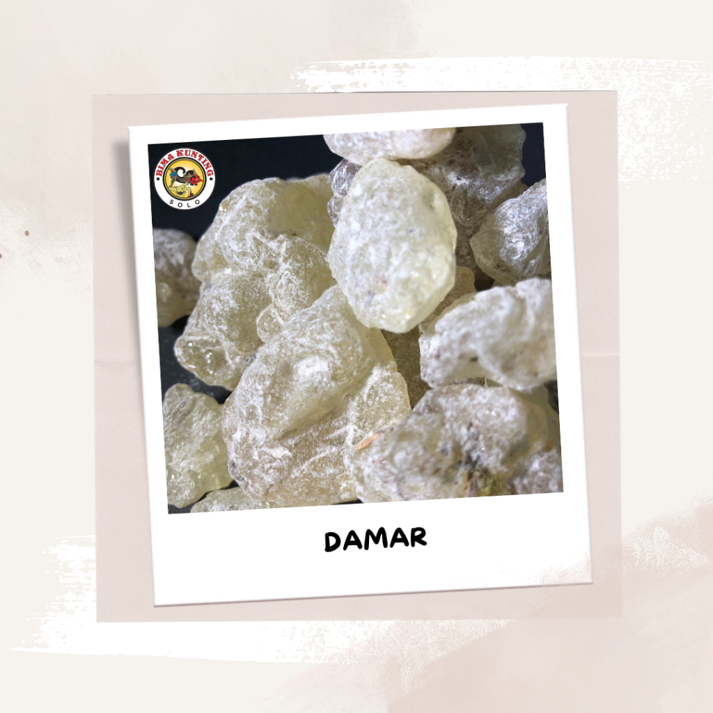 GETAH DAMAR Per 1Kg