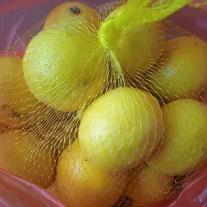 

lemon import