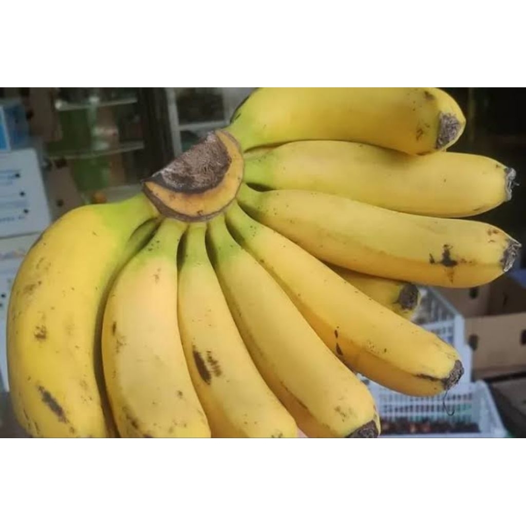 

pisang Ambon manis fresh alami seger per 1 kg