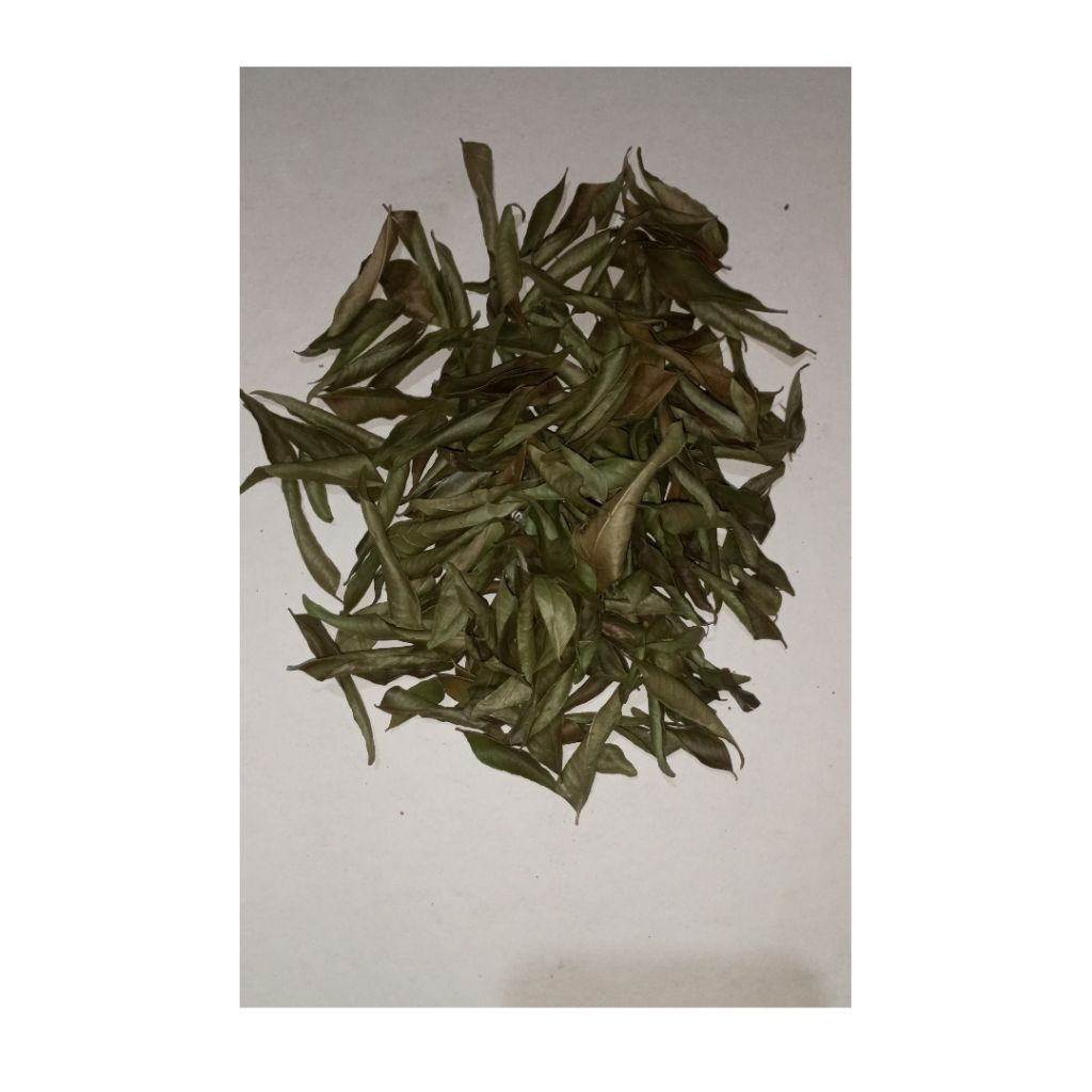 

Daun Kari Kering – 100% Alami & Tanpa Bahan Pengawet