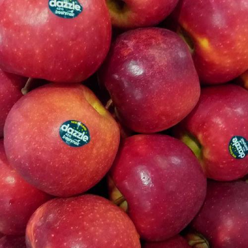 

Dazzle Merah Gajah Kering