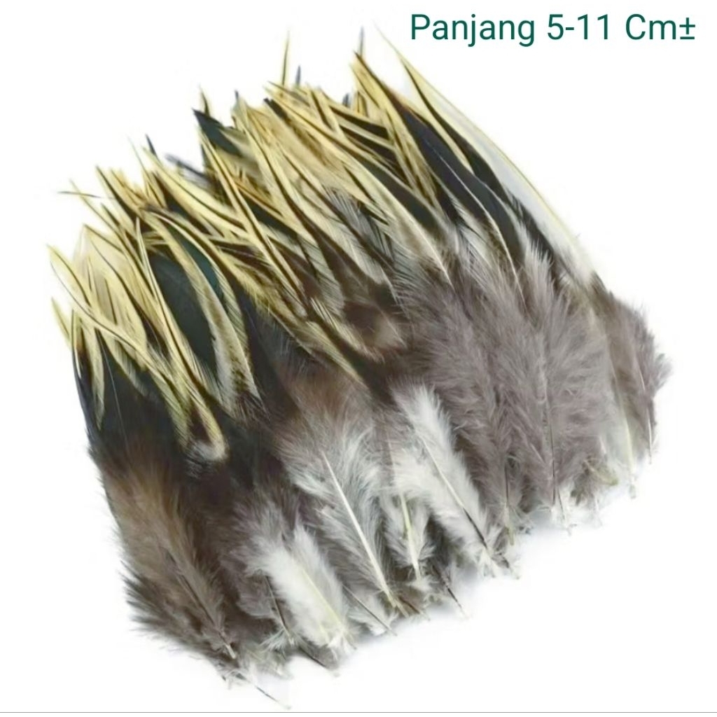 Bulu ayam umpan pancing bulu ayam umpan ikan umpan tenggiri umpan rewel umpan kontekan umpan lanjut 