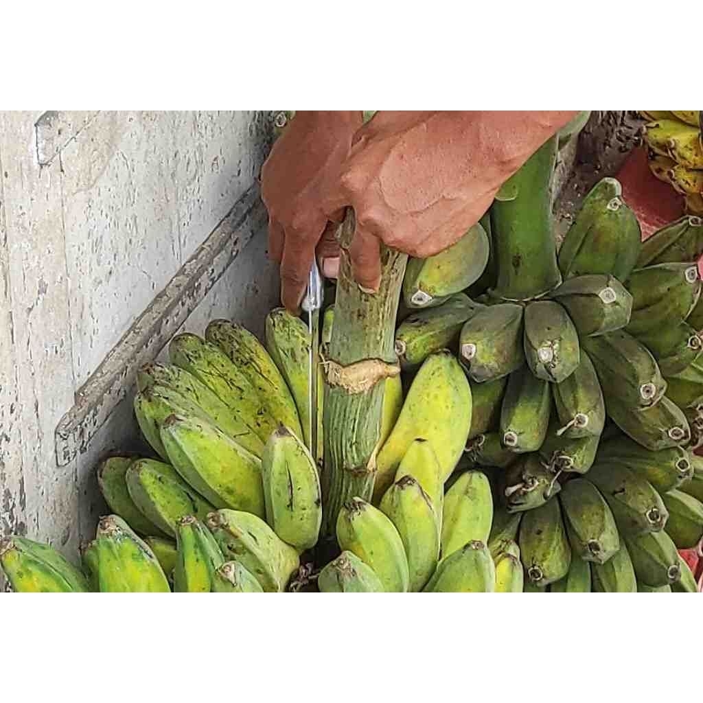 

PISANG KEPOK KUALITAS SUPERR PROMOO 1KG