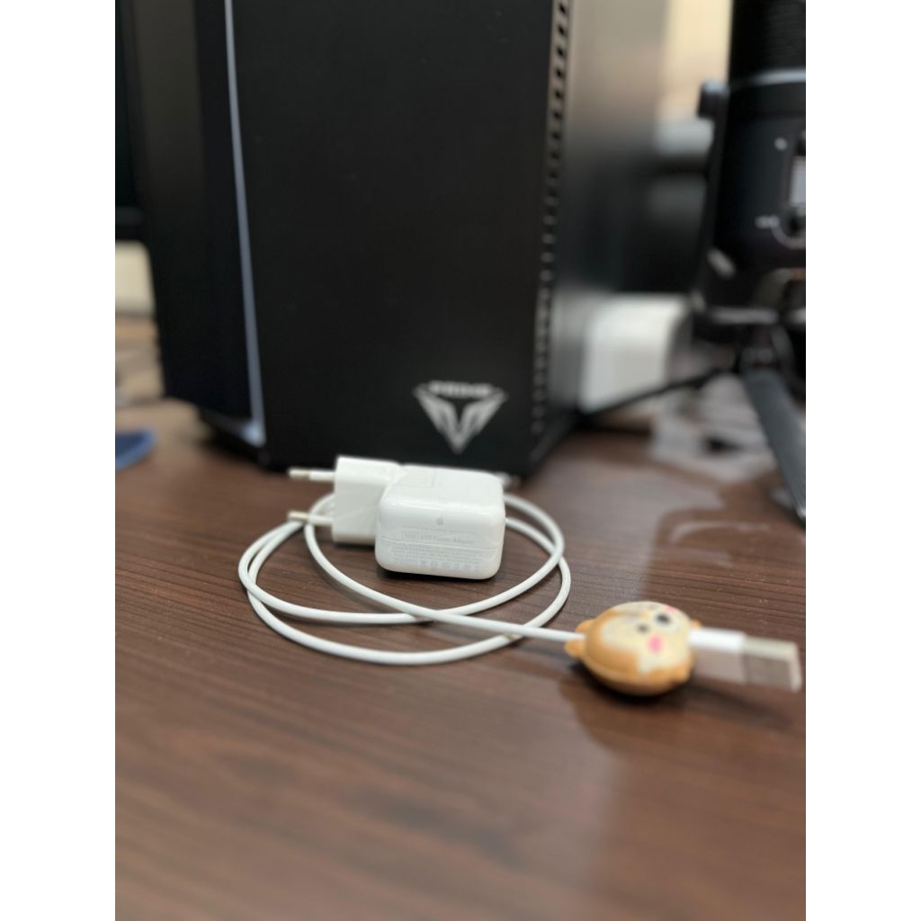 charger ipad mini original