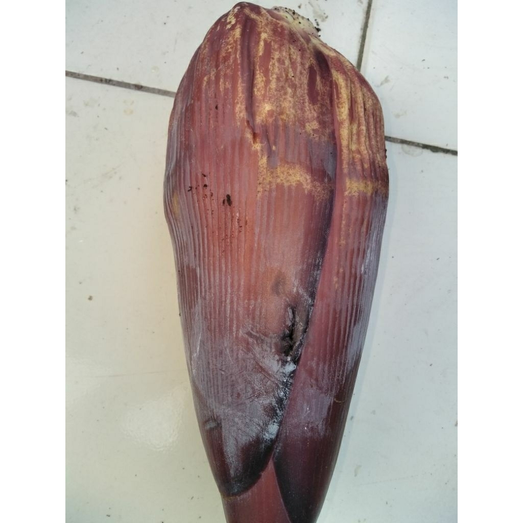 

Jantung pisang kepok/ Bunga pisang kepok