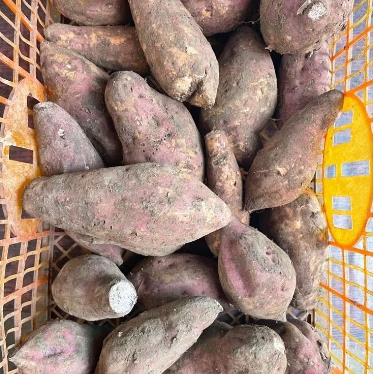 

KIRIM INSTAN ubi untuk rebus & kolak per 1kg