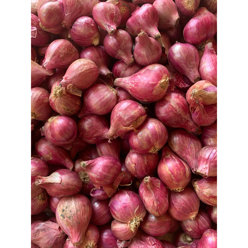 

Bawang Merah Lokal Super size Besar kering 1000gr