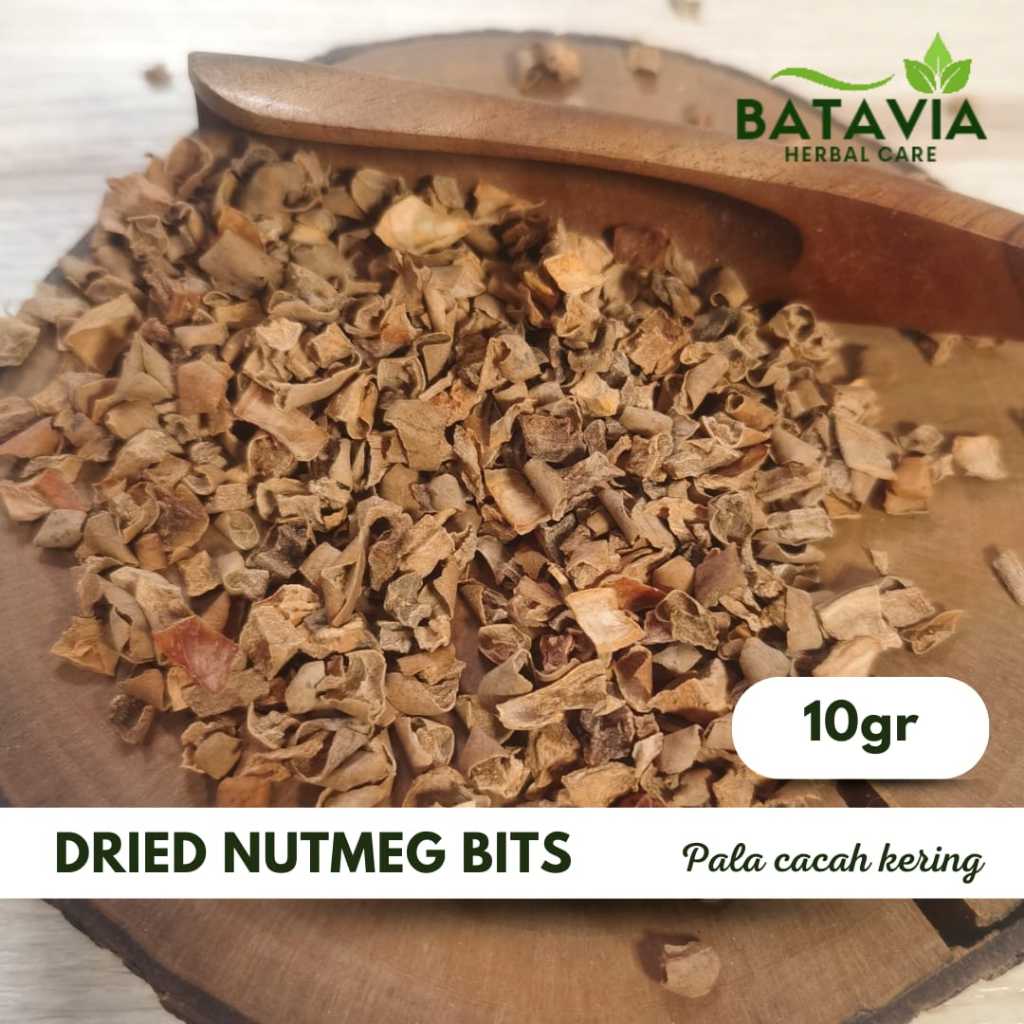 

Biji Pala Cacah Nutmeg Fruit Teh Tisane Premium Herbs Time