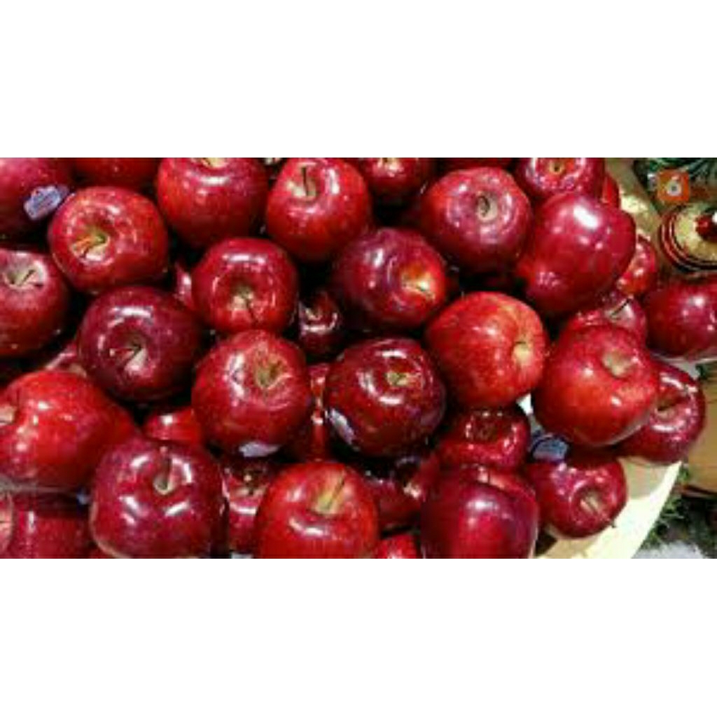 

apel merah buah segar dan higienis