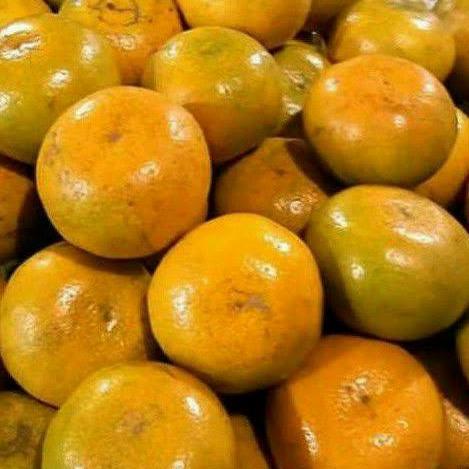 

Jeruk Medan Manis 1 Kg - Ukuran AB Besar Super Manis & Segar