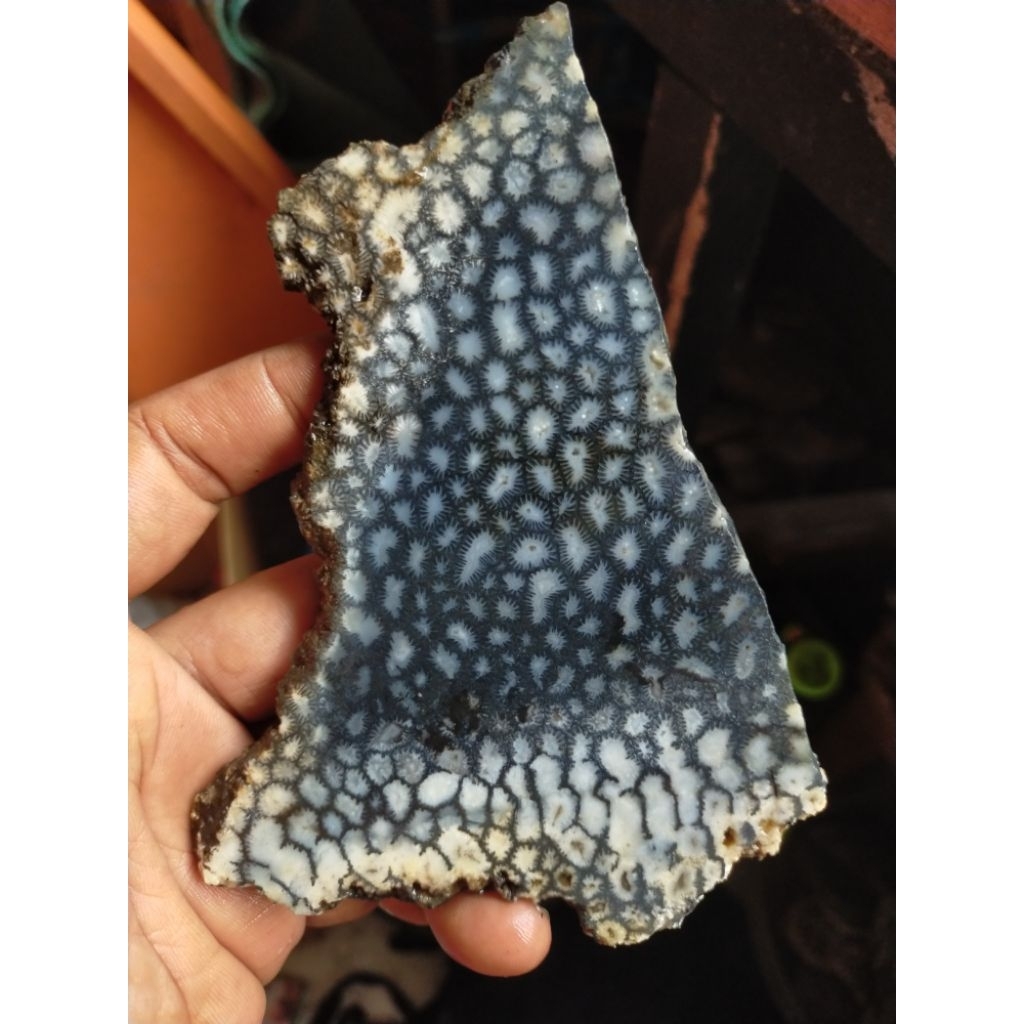 batu bahan natural teratai lipan hitam