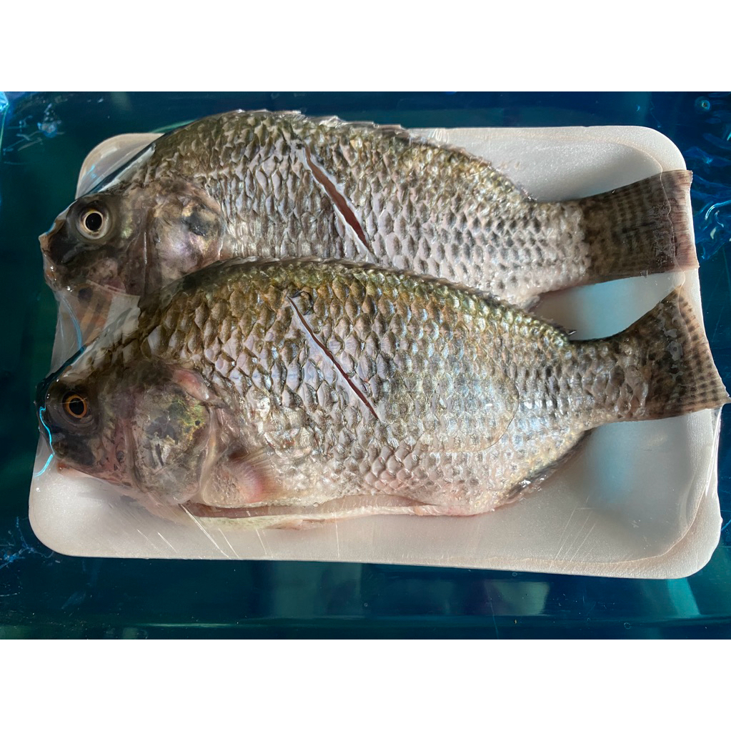 

Ikan nila, ikan sungai, ikan dalam kemasan, ikan frozen, ikan nila bersih, ikan potong, ikan dalam kemasan siap masak 500gr