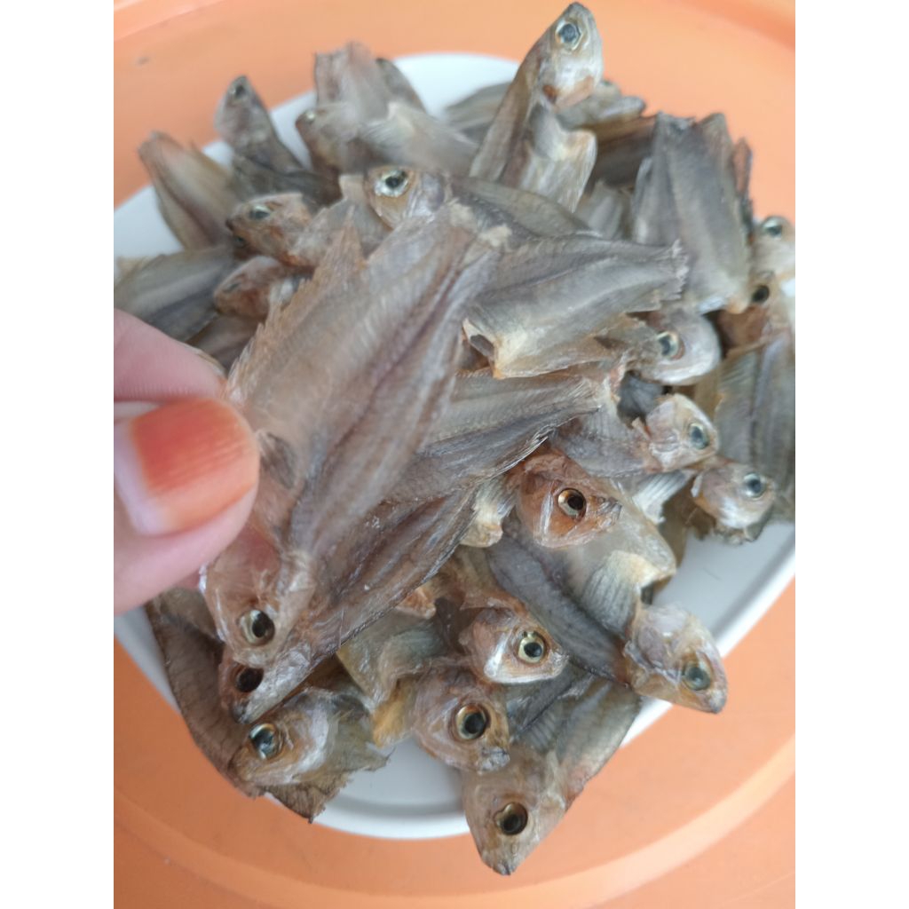 

Sapat karing Hambar Fress kecil